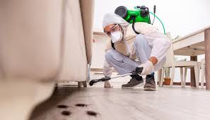 Real Estate Pest Inspections in Flora Vista, NM